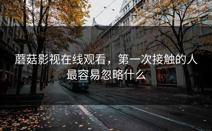 蘑菇影视在线观看，第一次接触的人最容易忽略什么